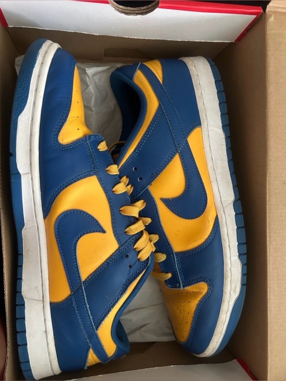 Nike UCLA dunks